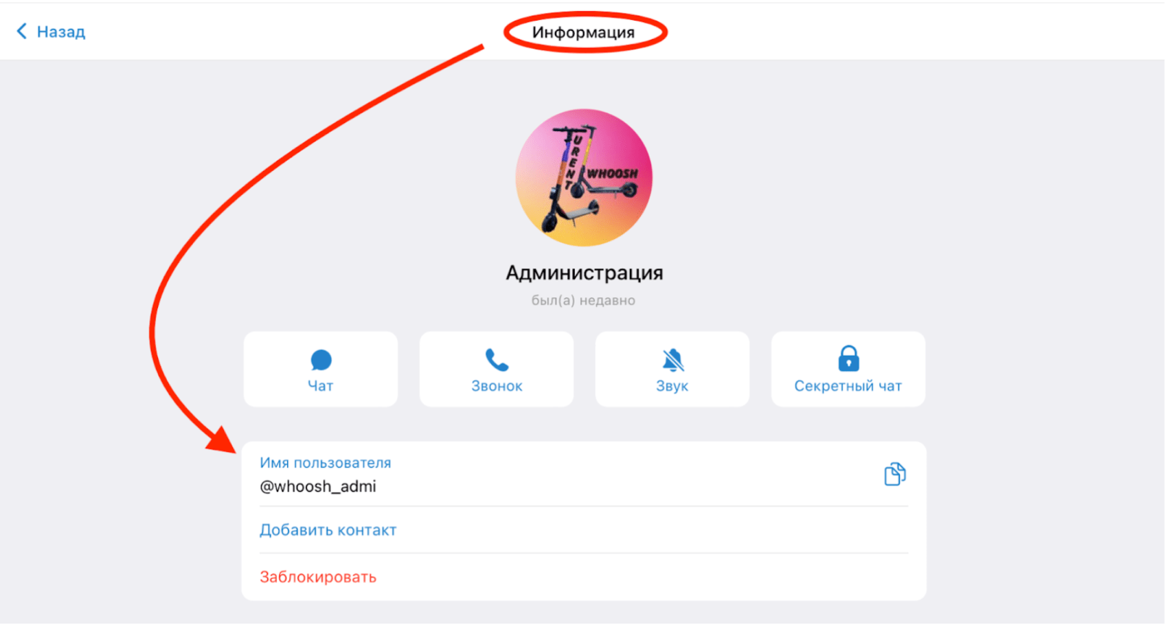 Как сделать пробив по нику в Telegram 3